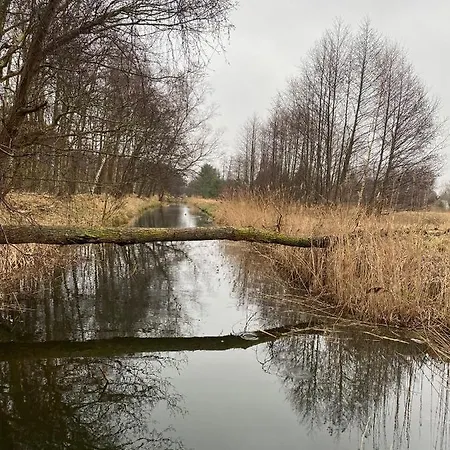 Holiday home Komfortowy Natura, W Poblizu Nadmorskiego Parku Krajobrazowego, 800 M Od Plazy Karwienskie Bloto Drugie