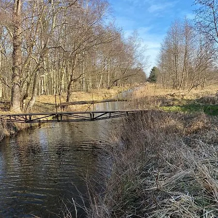 Holiday home Komfortowy Natura, W Poblizu Nadmorskiego Parku Krajobrazowego, 800 M Od Plazy *