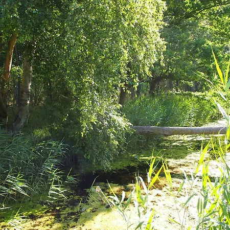 Komfortowy Natura, W Poblizu Nadmorskiego Parku Krajobrazowego, 800 M Od Plazy *