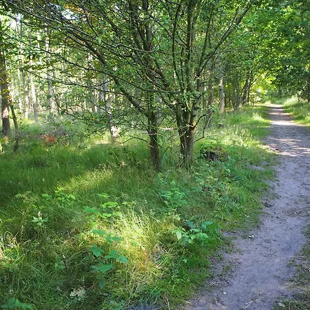 Holiday home Komfortowy Natura, W Poblizu Nadmorskiego Parku Krajobrazowego, 800 M Od Plazy